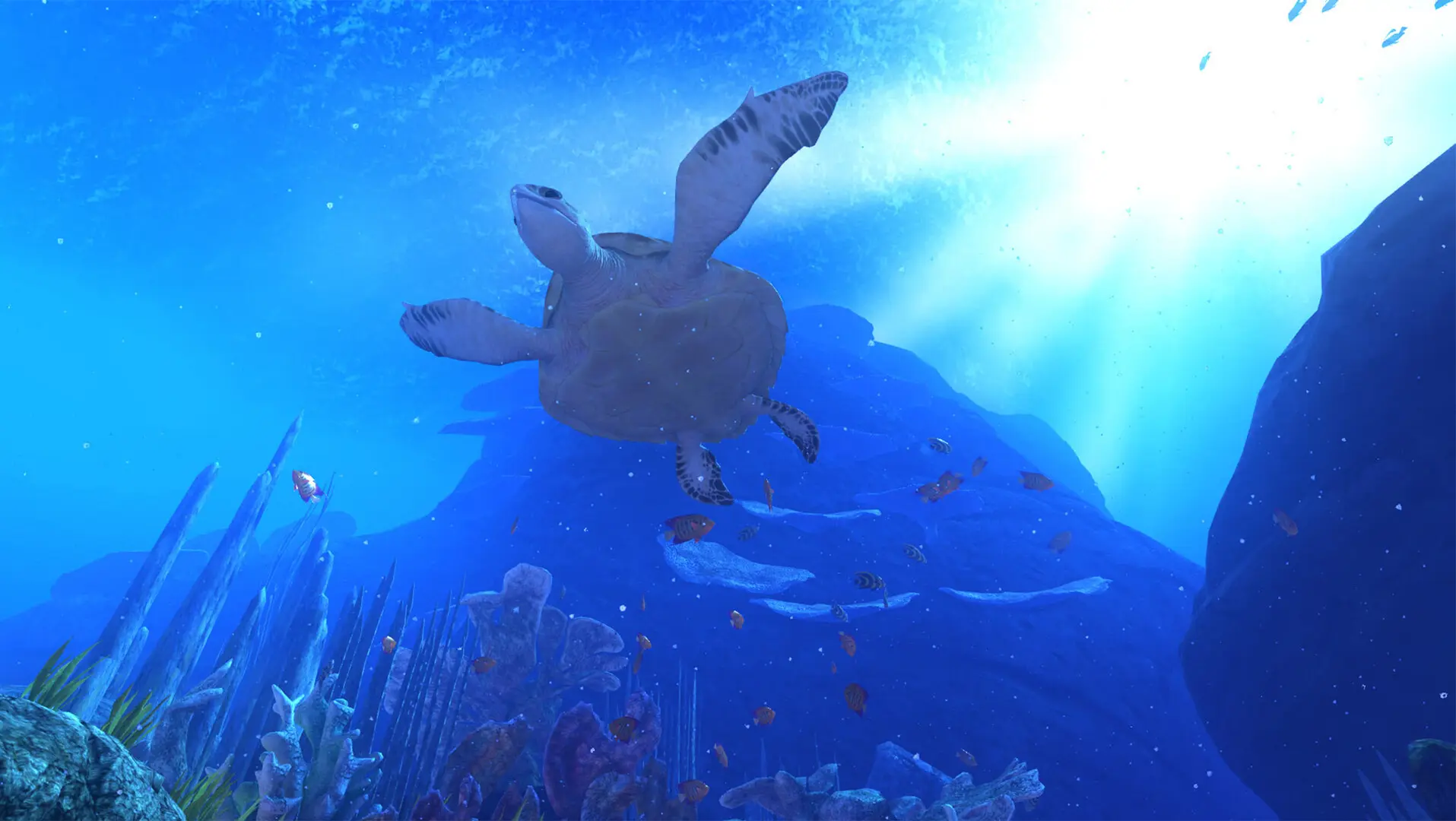 Scène sous-marine immersive calme avec casque VR