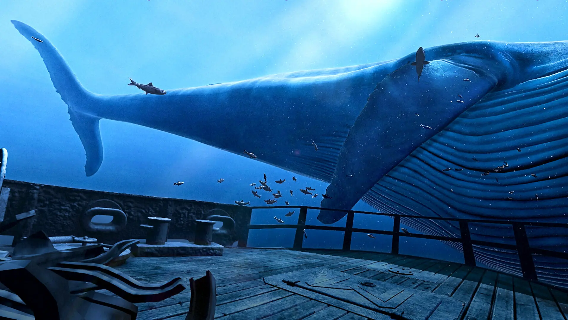 Plongée en réalité virtuelle avec baleines dans The Blu